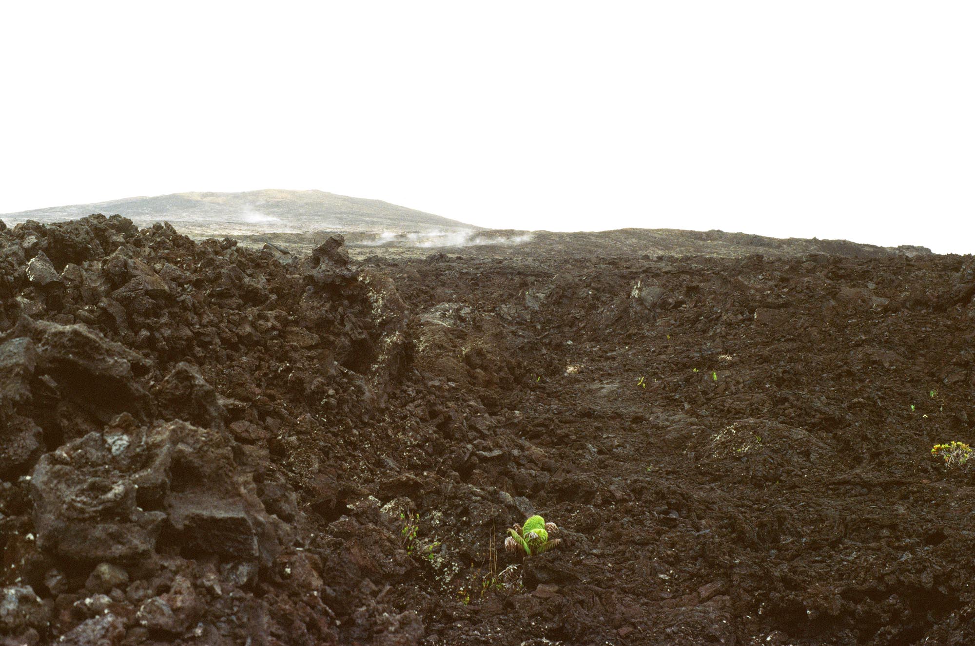 A lava field